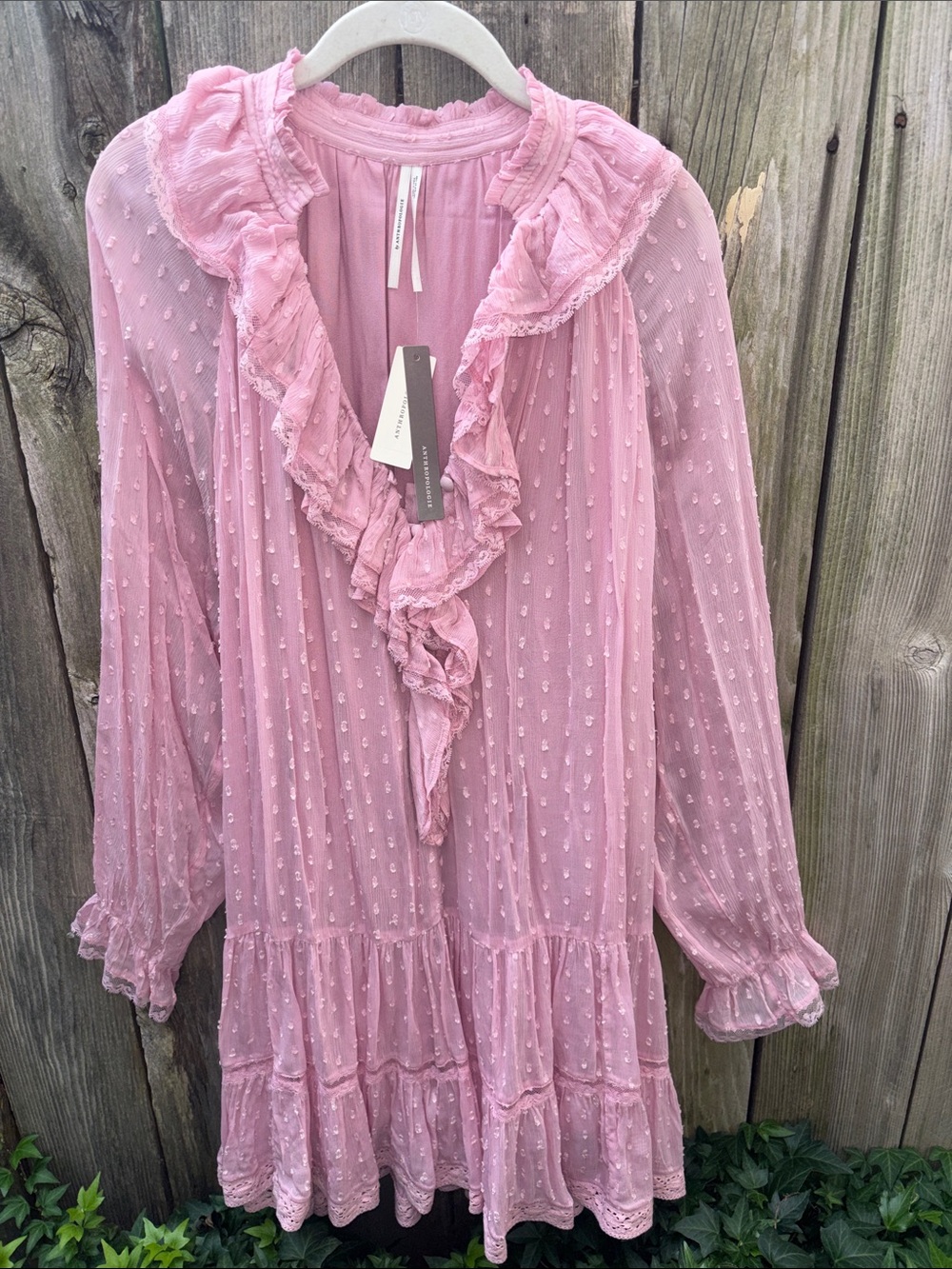 Anthropologie Pink Ruffle Swiss-Dot Long Sleeve Dress